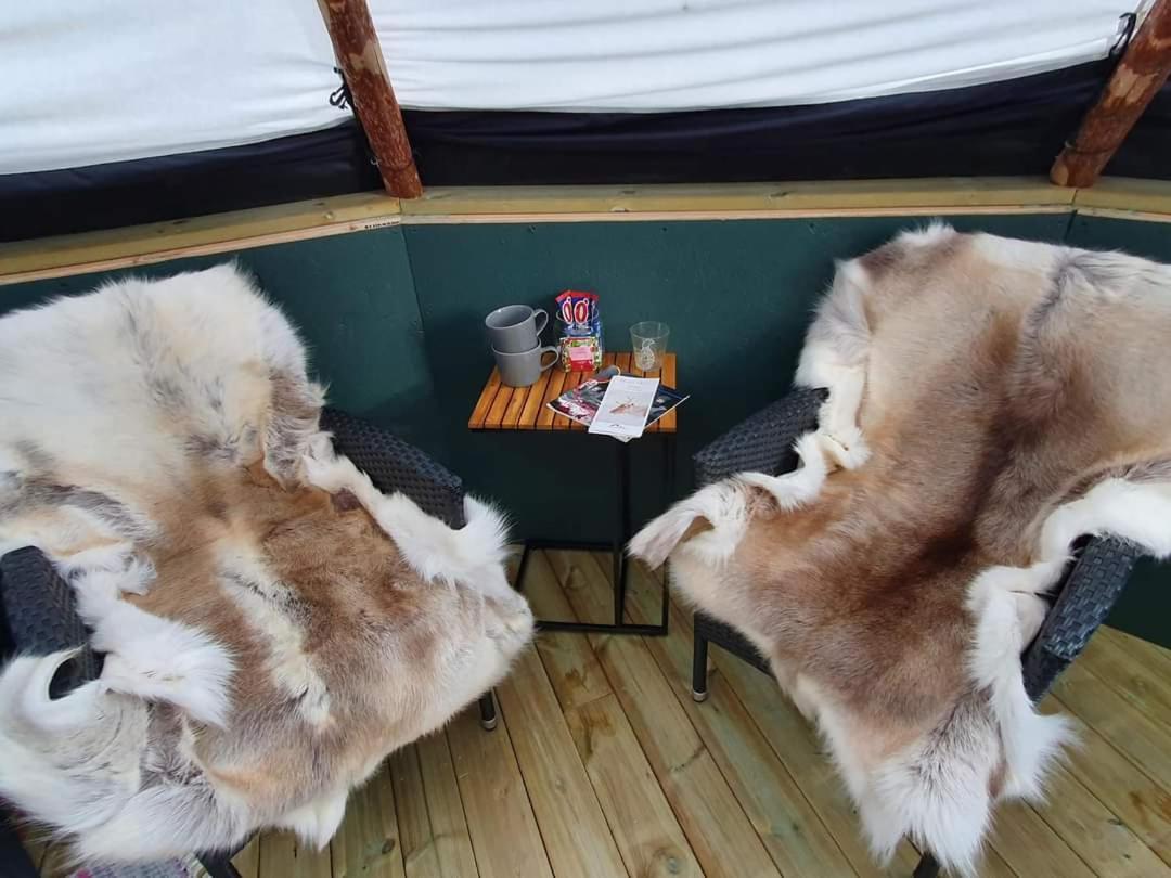 Reindeer Lodge Jukkasjärvi Zewnętrze zdjęcie