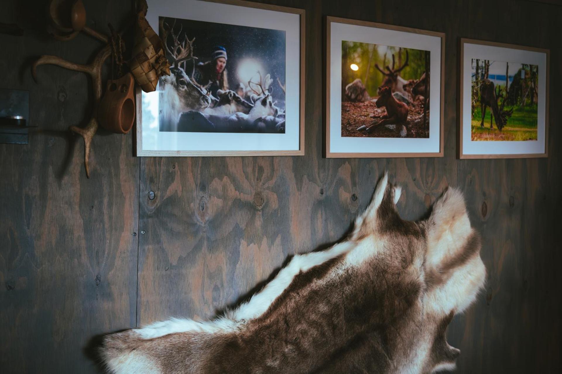 Reindeer Lodge Jukkasjärvi Zewnętrze zdjęcie
